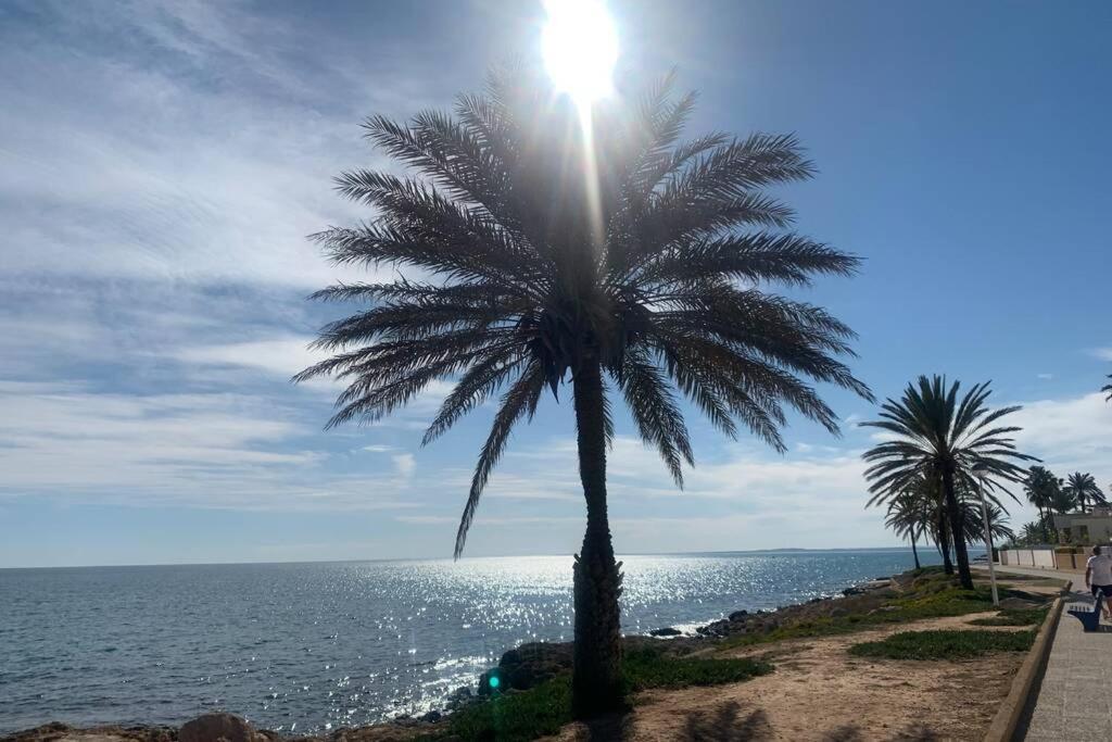 Alicante, Bord De Plage, 3 Chambres Santa Pola Εξωτερικό φωτογραφία